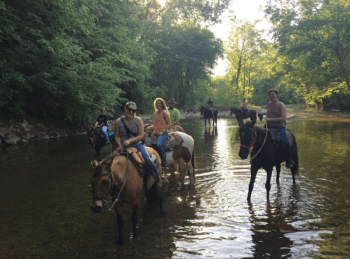 A group of people riding horses through a shallow stream surrounded by lush greenery.