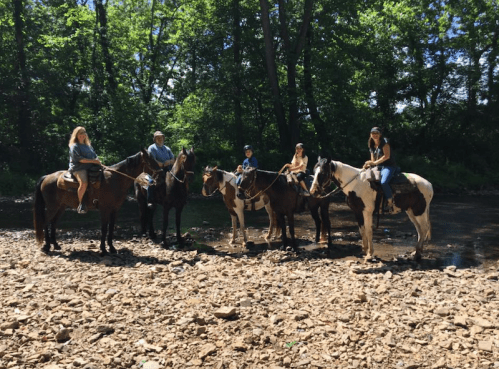 A group of six people on horseback by a river, surrounded by trees on a sunny day.