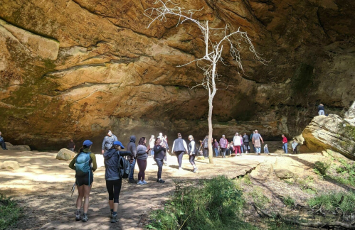 A group of hikers explores a large cave with a tree and rocky terrain, surrounded by natural light and greenery.