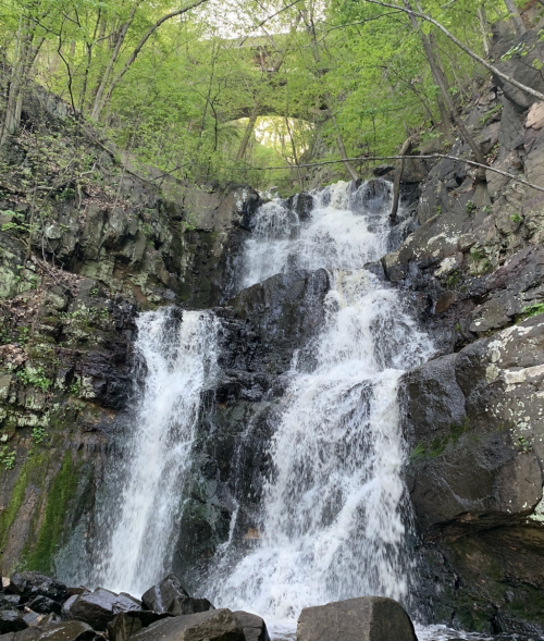 A cascading waterfall surrounded by lush green trees and rocky terrain.