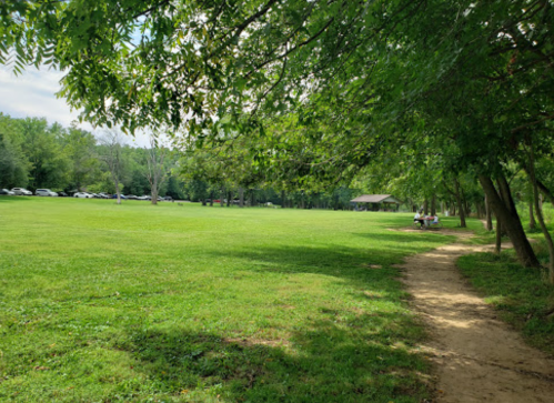 A grassy park with trees lining a dirt path, picnic area in the distance, and cars parked nearby.