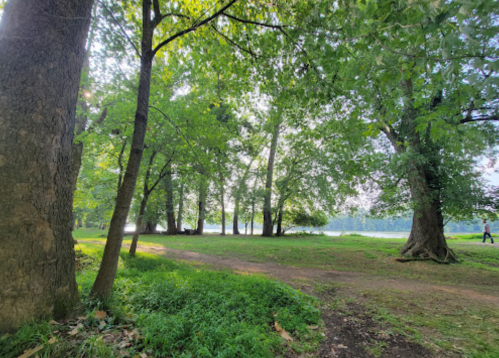 A serene park scene with lush green trees lining a path near a calm river under a bright sky.