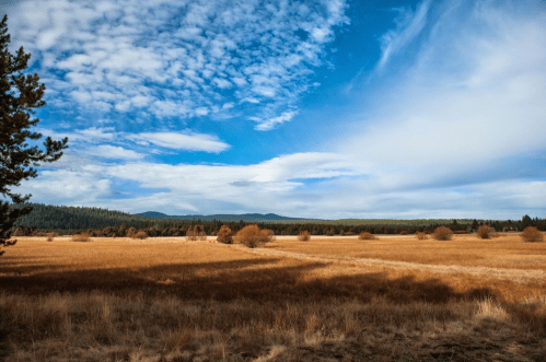 A wide, open field with golden grass under a blue sky with clouds, surrounded by distant mountains and trees.