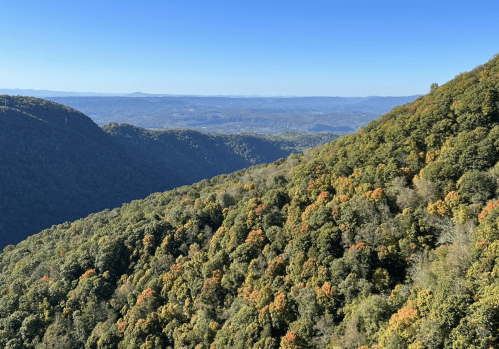 A panoramic view of rolling hills covered in autumn foliage under a clear blue sky.