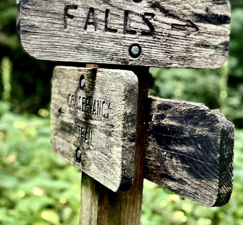 Wooden signpost with arrows pointing to "Fales" and "Cascades Trail," surrounded by greenery.