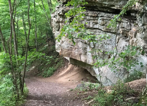 A winding trail leads through a lush green forest with a large rock formation on the side.