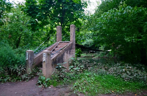 A weathered footbridge with concrete supports, surrounded by dense greenery and fallen leaves.