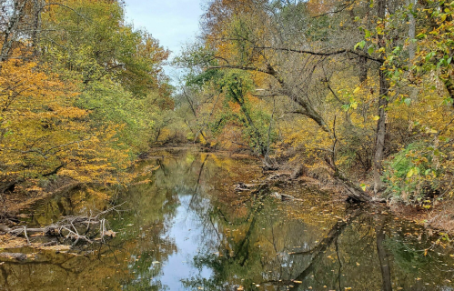 A serene river scene surrounded by trees with vibrant autumn foliage reflecting in the calm water.