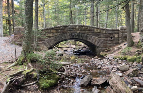 A stone arch bridge over a small creek, surrounded by trees and rocky terrain in a forested area.