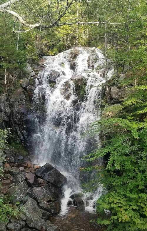 A cascading waterfall surrounded by lush green trees and rocky terrain. Water flows down the rocks, creating a serene scene.