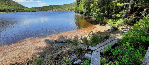 A serene lake surrounded by trees, with a wooden path leading to the water's edge and a clear blue sky above.