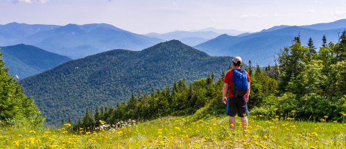 A hiker stands in a meadow of wildflowers, gazing at a panoramic view of mountains under a clear blue sky.