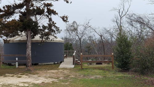 A yurt surrounded by trees, with a wooden walkway leading to it, set in a grassy area on a cloudy day.