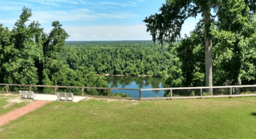 A scenic view of a river surrounded by lush green trees under a clear blue sky, with benches in the foreground.