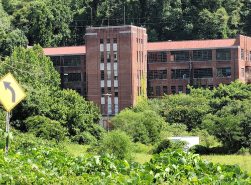 Abandoned brick building surrounded by greenery, with a road sign indicating a left turn in the foreground.