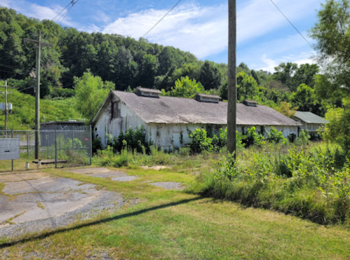 Abandoned building surrounded by overgrown grass and trees under a clear blue sky.