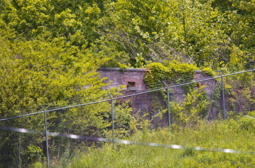 Overgrown greenery surrounds a brick wall with openings, bordered by a chain-link fence in a natural setting.