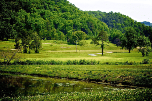 Lush green landscape with trees, a winding path, and a calm water body reflecting the scenery.