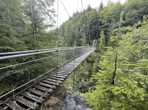 A suspension bridge stretches over a lush green forest, surrounded by tall trees and rocky terrain.