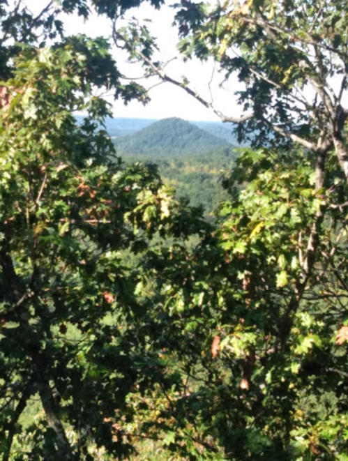 A scenic view of rolling hills framed by green leaves and trees under a clear blue sky.