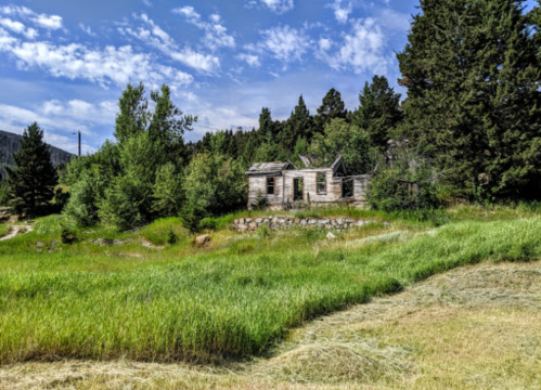 Abandoned wooden house surrounded by tall grass and trees under a blue sky with scattered clouds.