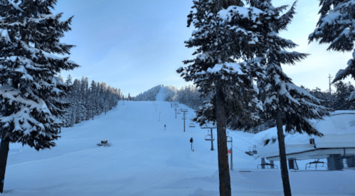 Snow-covered ski slope surrounded by tall pine trees, with ski lifts in the foreground and a clear blue sky.
