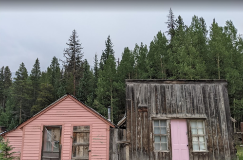 A pink wooden cabin and a weathered gray building stand side by side, surrounded by tall green trees.