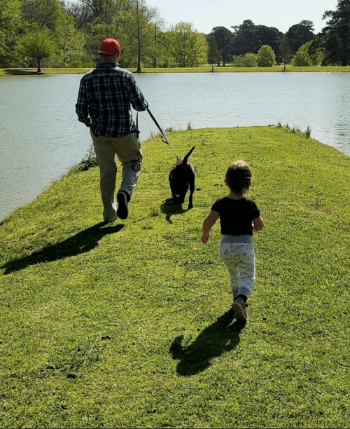 A person and a child walk a dog along a grassy path by a lake on a sunny day.