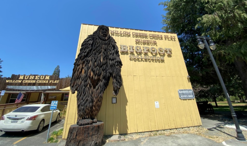 A wooden Bigfoot statue stands outside the Willow Creek China Flat Museum, showcasing a Bigfoot exhibition.