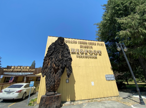 A large wooden Bigfoot statue stands outside the Willow Creek-China Flat Museum, with a blue sky in the background.
