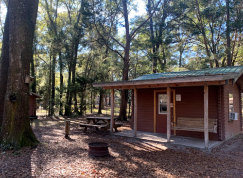 A rustic cabin in a wooded area, surrounded by trees and fallen leaves, with a picnic table and fire pit nearby.