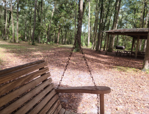A wooden swing hangs from a chain in a serene forest setting with trees and a picnic area in the background.