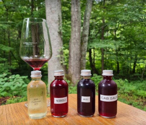 A glass of red wine beside three labeled bottles of white and red wines, set against a lush green forest backdrop.