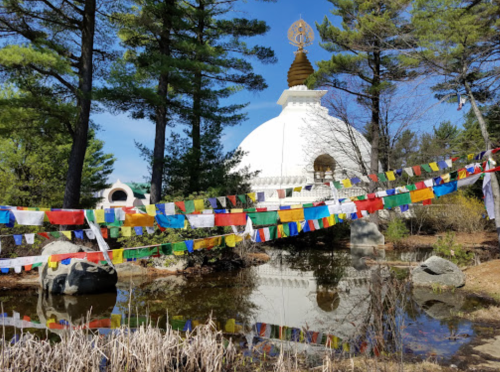 A white stupa surrounded by colorful prayer flags, reflecting in a calm pond, with trees in the background.