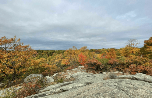 A rocky outcrop overlooks a vibrant autumn landscape with colorful trees under a cloudy sky.