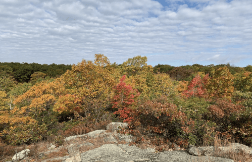 Vibrant autumn foliage in a forested landscape under a partly cloudy sky.