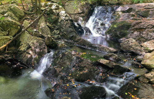 A serene waterfall cascades over rocky terrain, surrounded by lush greenery and fallen leaves.