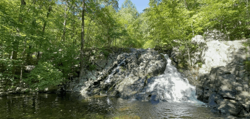 A serene waterfall cascades over rocks, surrounded by lush green trees and a calm pool of water below.