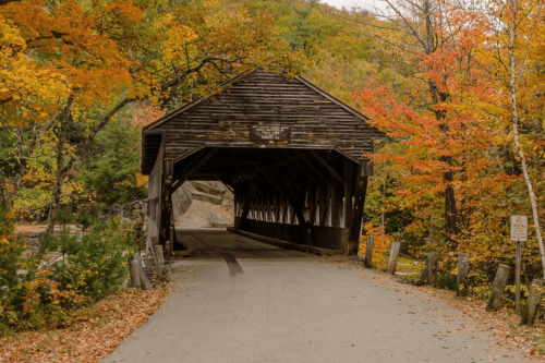 A rustic covered bridge surrounded by vibrant autumn foliage and a paved road leading through it.