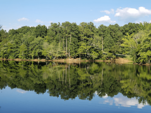 A serene lake surrounded by lush green trees, reflecting the sky and foliage on its calm surface.