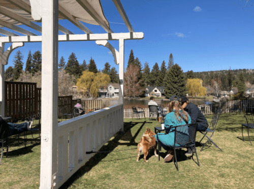 A couple sits by a lake with a dog, enjoying a sunny day on a grassy area with trees and houses in the background.