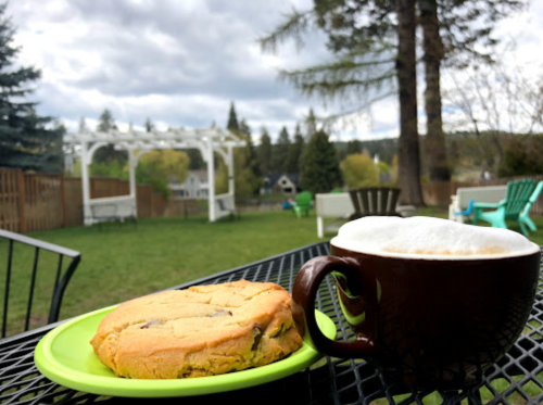 A cozy outdoor scene featuring a cookie on a green plate and a cup of coffee on a table, with a lush backyard in the background.