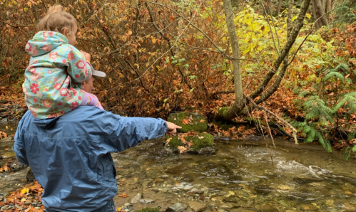 A person with a child on their shoulders points at a stream surrounded by autumn foliage.