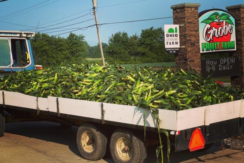 A trailer loaded with fresh corn parked near the Gnobe Fruit Farm sign, surrounded by greenery.