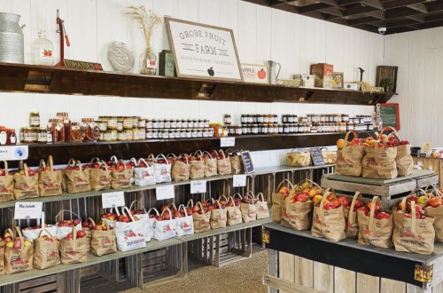 A farm stand displaying baskets of apples and jars of preserves on wooden shelves, with a sign reading "Grove Fruit Farm."