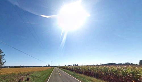 A sunny day on a rural road lined with cornfields under a clear blue sky.