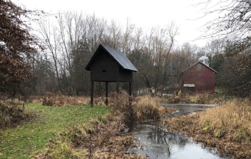 A small black shed on stilts near a stream, surrounded by overgrown grass and bare trees in a rural landscape.
