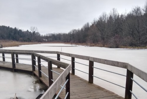 A wooden walkway curves over a frozen pond, surrounded by bare trees under a cloudy sky.