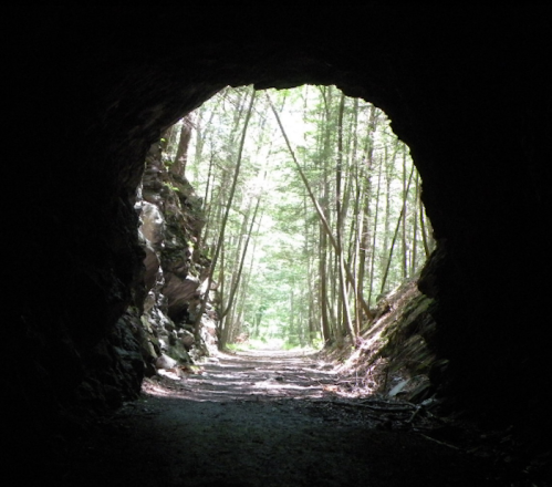 View from inside a dark cave, looking out to a bright, tree-lined path.