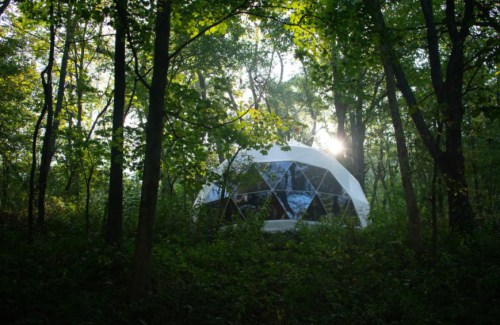 A geodesic dome nestled in a lush forest, sunlight filtering through the trees.